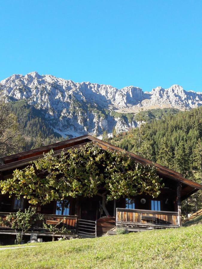 Gastehaus Poll Maria Daire Scheffau am Wilden Kaiser Dış mekan fotoğraf