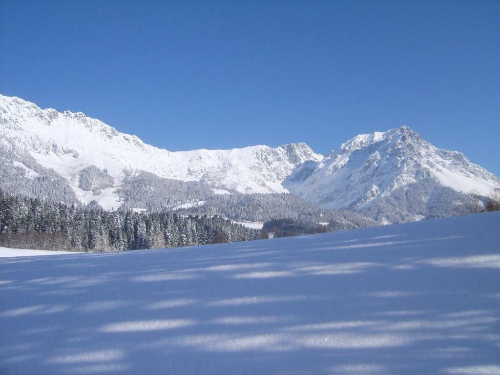 Gastehaus Poll Maria Daire Scheffau am Wilden Kaiser Dış mekan fotoğraf