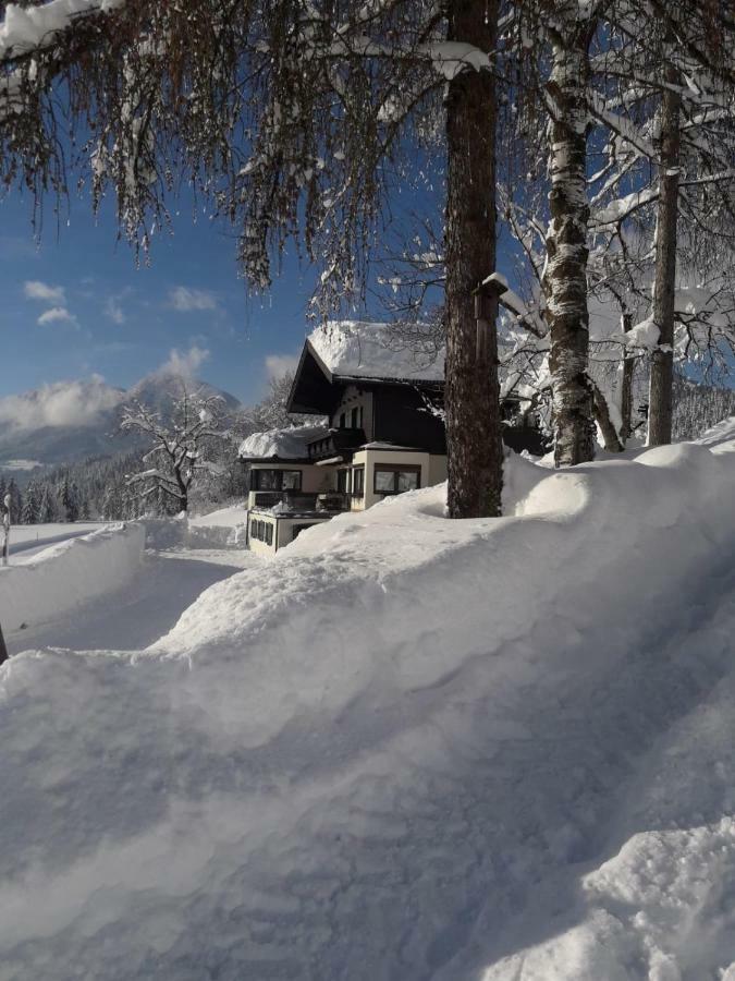 Gastehaus Poll Maria Daire Scheffau am Wilden Kaiser Dış mekan fotoğraf