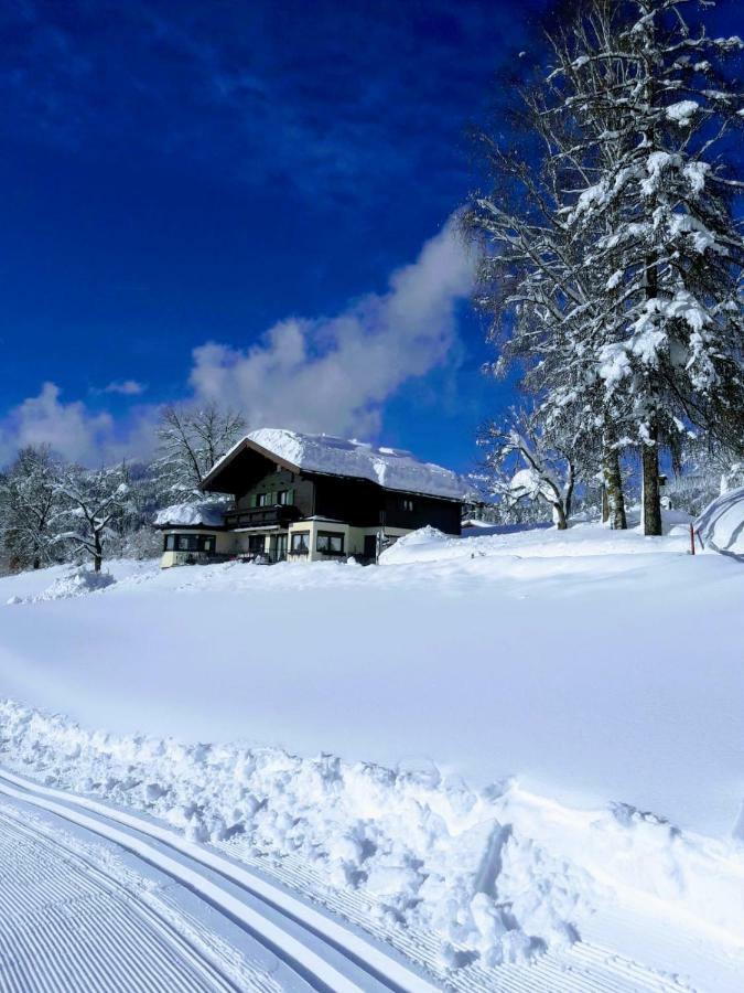 Gastehaus Poll Maria Daire Scheffau am Wilden Kaiser Dış mekan fotoğraf